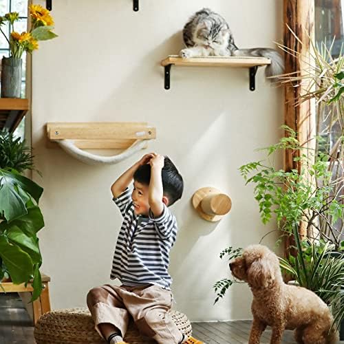 FUKUMARU zidni namještaj za mačke, uključujući stepenice za penjanje za mačke, viseću mrežu za mačke, stepenice za mačke, za spavanje,