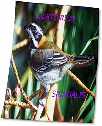 3Droza Državne ptice za florene - Nacionalna ptica Portoriko Spinalis - Ručnici