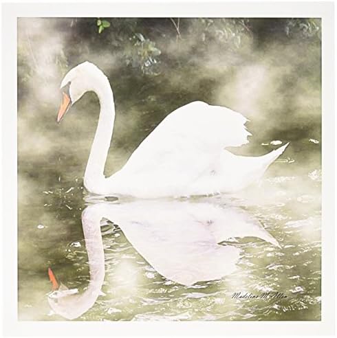 3dRose Swan u magli-fotografija-čestitke, 6 x 6 inča, set od 6