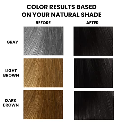COSMTEK Meidu crna boja za kosu trajna za Gary Hair, Instant šampon za boju kose za žene & amp; muškarci, 3 u 1herbal sastojci šampon