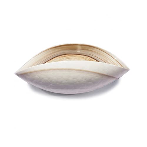 Murano Glass Bowl za kućni dekor, autentična izrađena u Italiji staklena umjetnička djela, ručno rađeni staklo, Slonovača Dekorativna