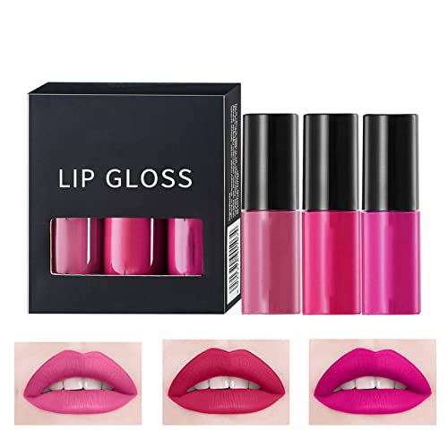 Lip Hydration Gloss 1set ruž za usne sa šminkom za usne baršun dugotrajni visoki Pigment Nude vodootporni sjaj za usne djevojka dame