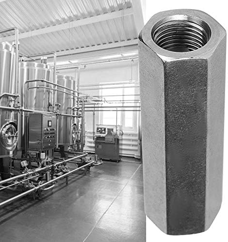 Nepovratni ventil za vazduh Hex BSPP Ženski navoj jednosmerni Vazdušni nepovratni ventil za gas, ulje, ventil za priključne cevi za vodu nepovratni ventil