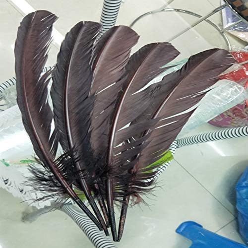 Pumcraft 10kom lijepa smeđa guska perje Decor 10-12 inča / 25-32cm Turska perje decor Accessories Feather for Craft