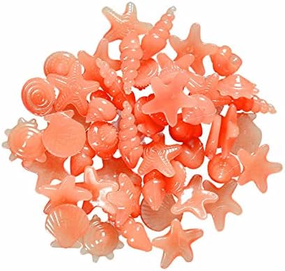 TODOZO Scallop Ocean Conch Shell svjetleći kameni akvarijski akvarijum uređenje 200 kom personalizirano vrtno kamenje i znakovi