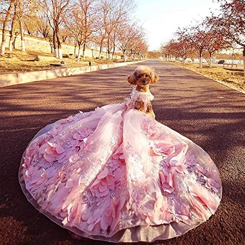 UXZDX CUJUX haljina za kućne ljubimce princeza prateća vjenčanica za male pse ručno rađeno cvijeće Vezenje čipkasta odjeća za štence Pudlica