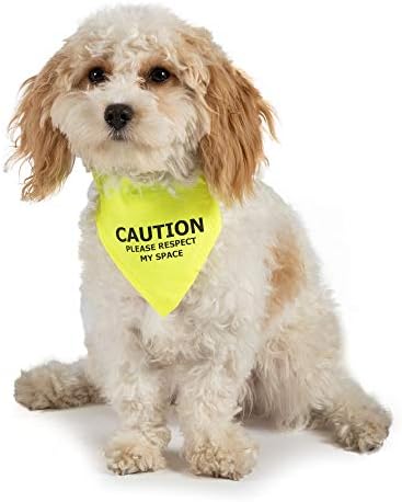 Ancol poštuje moje svemirske upozorenje bandana za psa, mali / srednji, žuti
