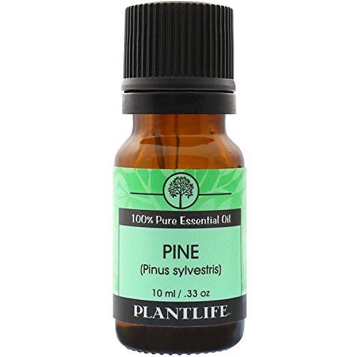 Biljna boranog pine aromaterapija Esencijalno ulje - ravno iz biljke čista terapijska ocjena - bez aditiva ili punila - 10 ml