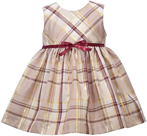 Bonnie Jean Girl Holisson Haright haljina i kaput set za bebu, dijete i djevojčice