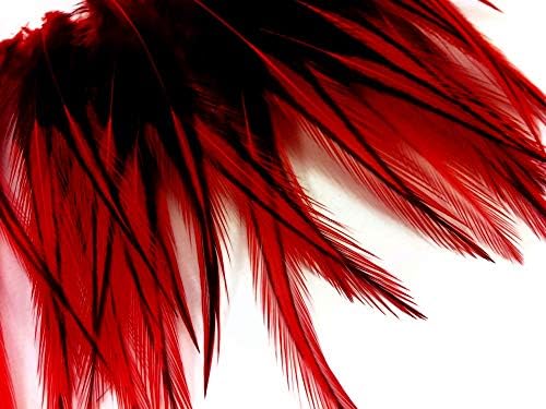 10 komada-2-4 crveno obojeno BLW sa čipkom kratki Rooster Cape Whiting Farm Feathers Craft Supply | Moonlight Feather