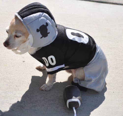 Pas je otišao sladak od Lou-ove fudbalske kostime za 4 komada - velika