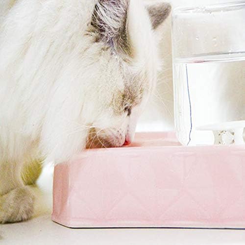 LANGCA Ceramic dozator za vodu za kućne ljubimce, dozator za vodu za vlažne usta za kućne ljubimce, dozator za vodu za mačke i pse,