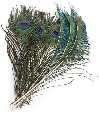 Pravo prirodno paunovo perje 10-12 inča 10 komada i perje paunovog mača 12-15 inča 10 komada za DIY zanat,vjenčani ukras